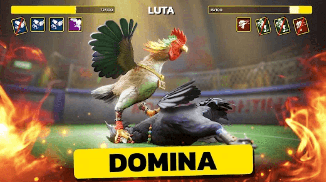 ddbet