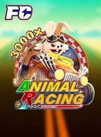 ddbet